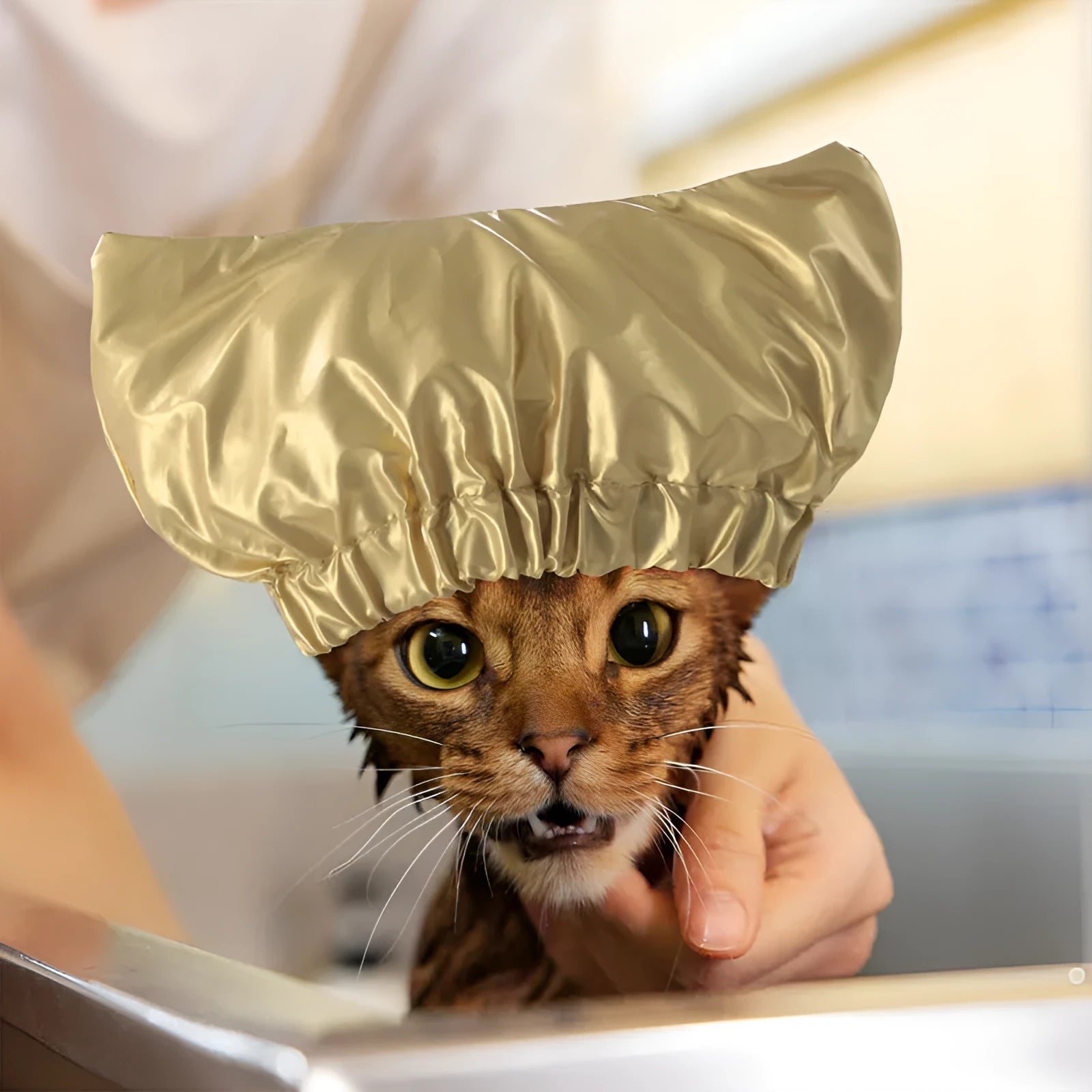 Adjustable waterproof shower cap for cats and dogs in silver colour showing ear protection design