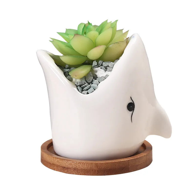 Cartoon ceramic succulent pot with drainage hole in blue on a desktop with small plants