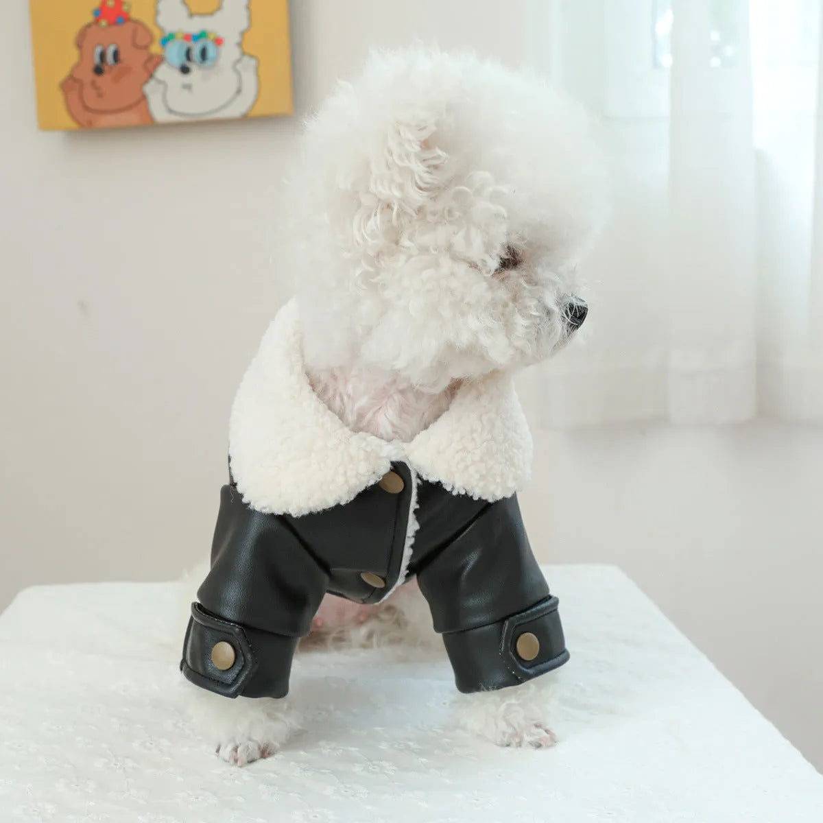 Fleece lined padded pet coat in black, beige, or suede, sizes XS to XL, polyester warm keeping dog jacket