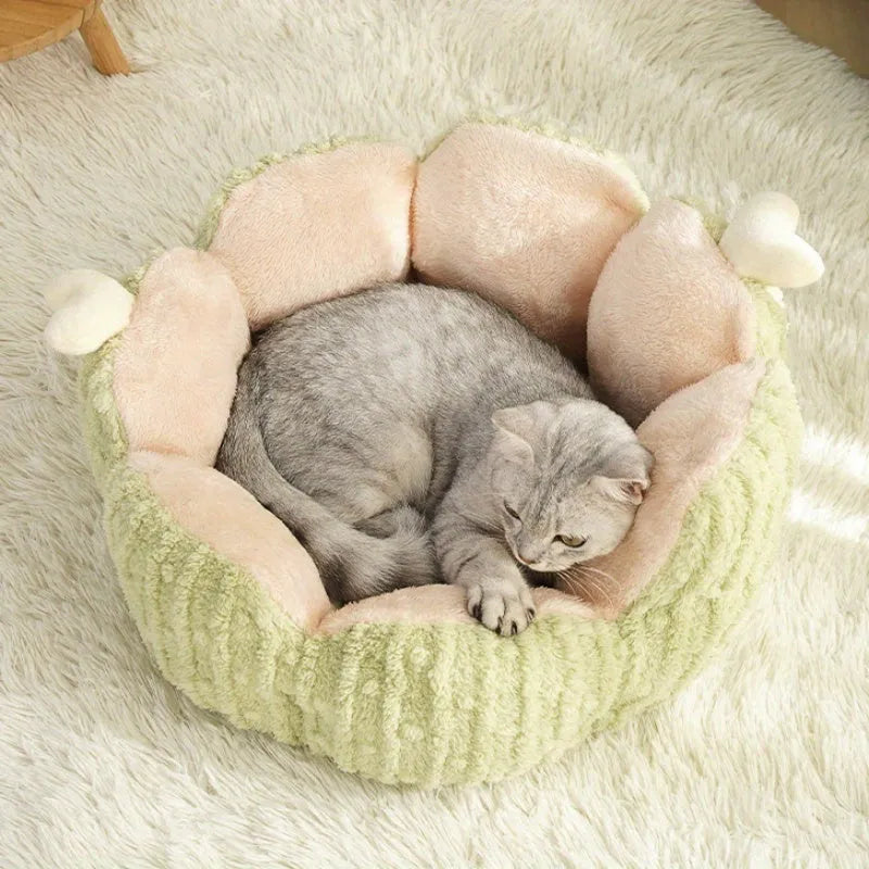 Cactus-themed soft cat litter kennel enclosure in green colour showing large size dimensions