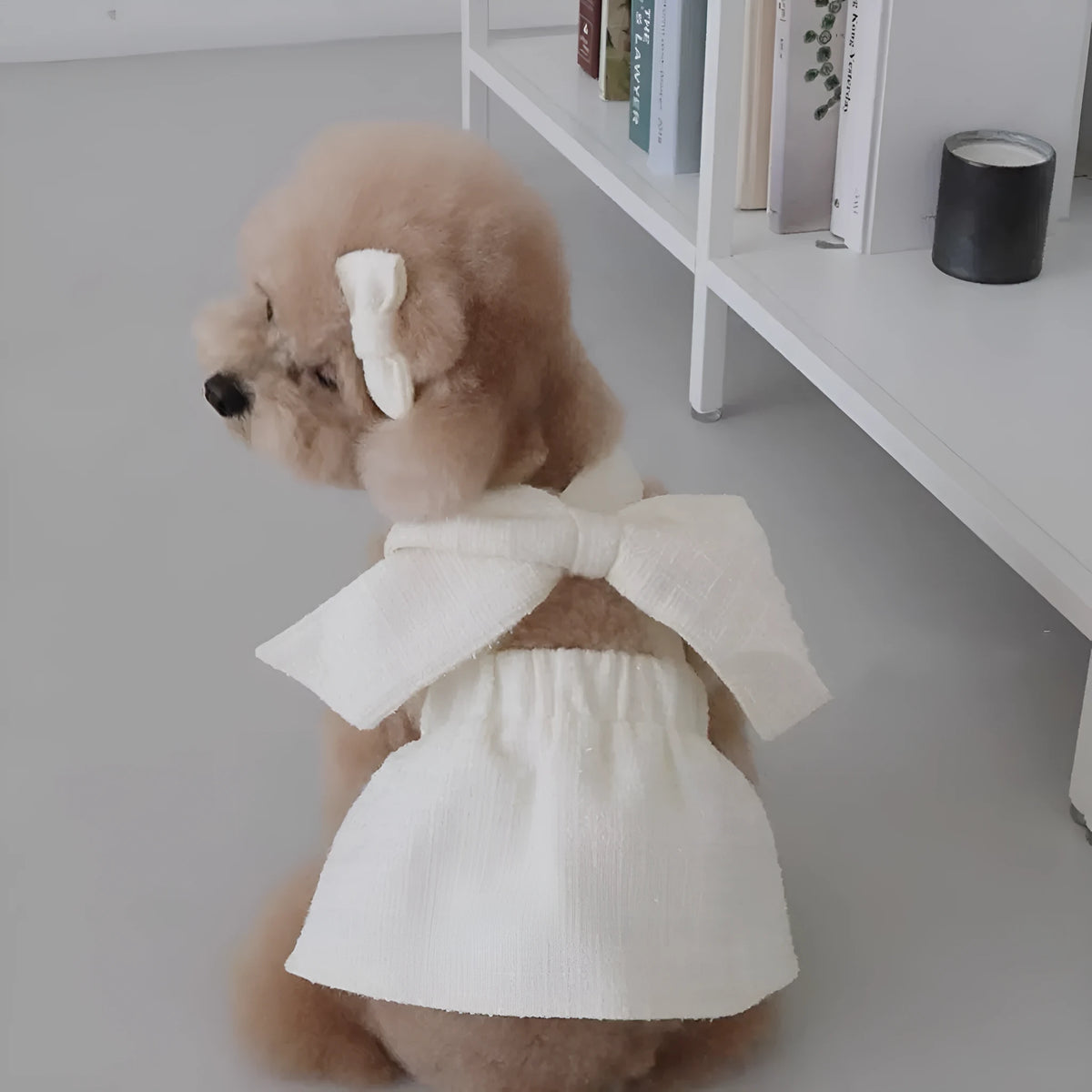 Cotton sling skirt dog clothing in black and white or white, sizes XS to XL