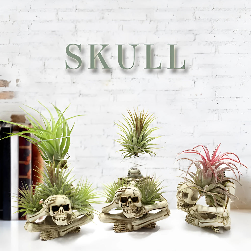 Gothic skull design resin bracket for tillandsia plants with iron base