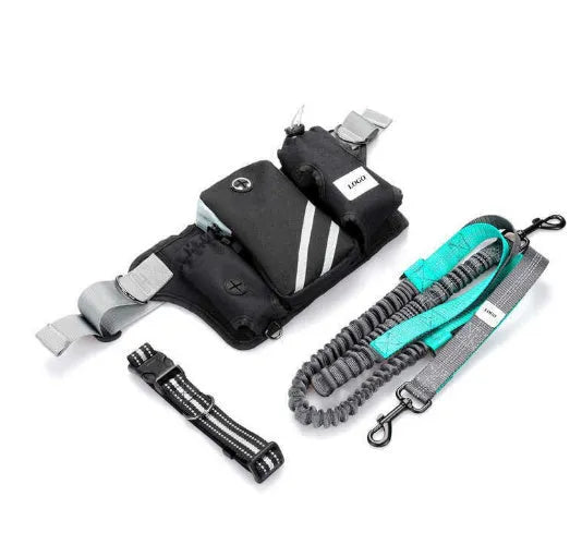 Black nylon outdoor dog walking set with waist bag, leash and collar for waterproof pet training