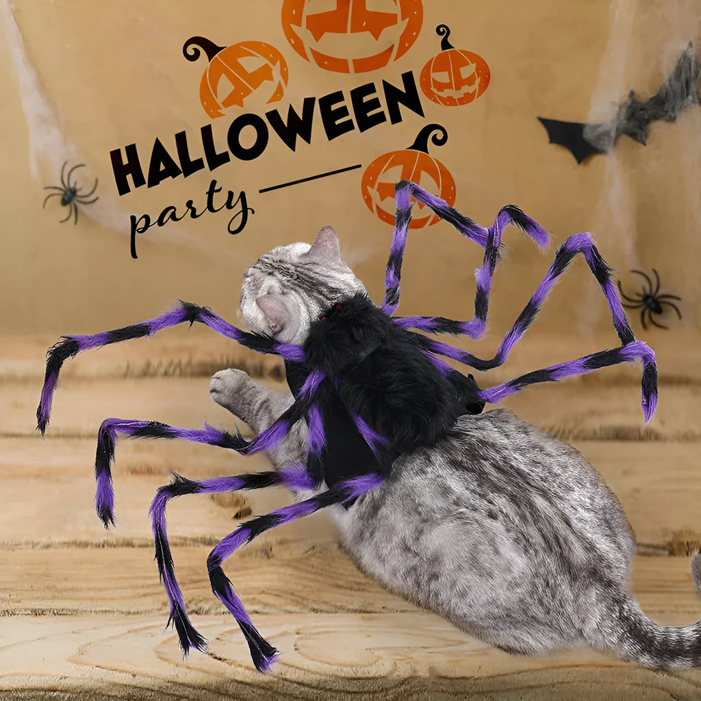 Halloween spider costume for a dog or cat on a grey background