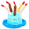 Cute pink and blue birthday hats for small dogs, shown with size scale.