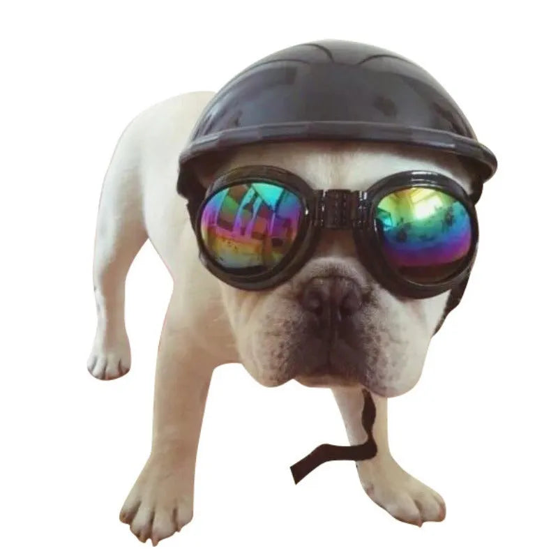 Plastic dog motorcycle helmet in solid colour with three size options for small medium large dogs