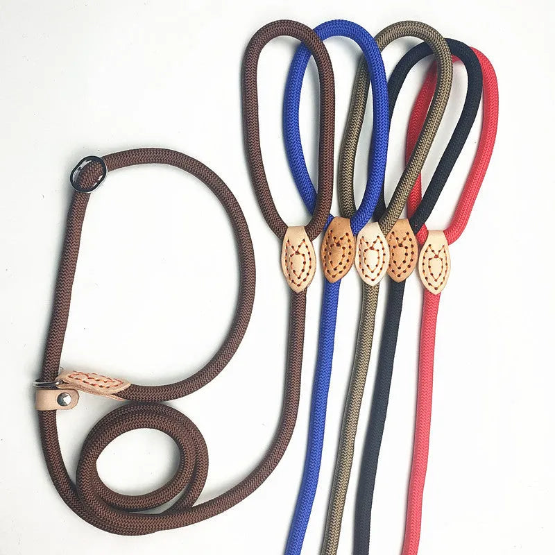 Blast race training 4-in-1 dog leash and automatically tightening collar set in multiple colour options