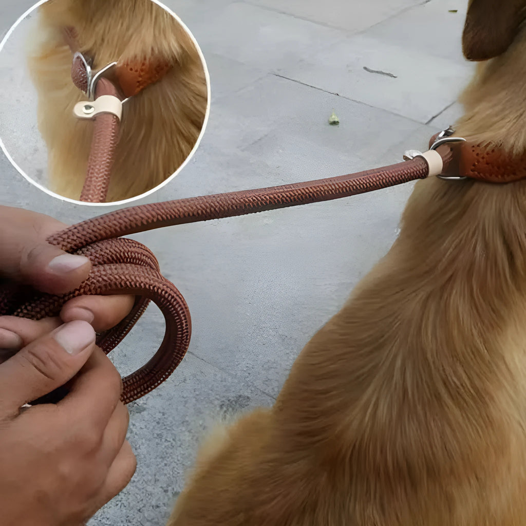 Brown nylon dog lead with P-chain handle showing rope-style construction