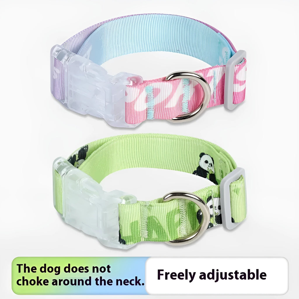 Panda Green and multi-colour gradient adjustable nylon dog collar for small, medium, and large dogs.