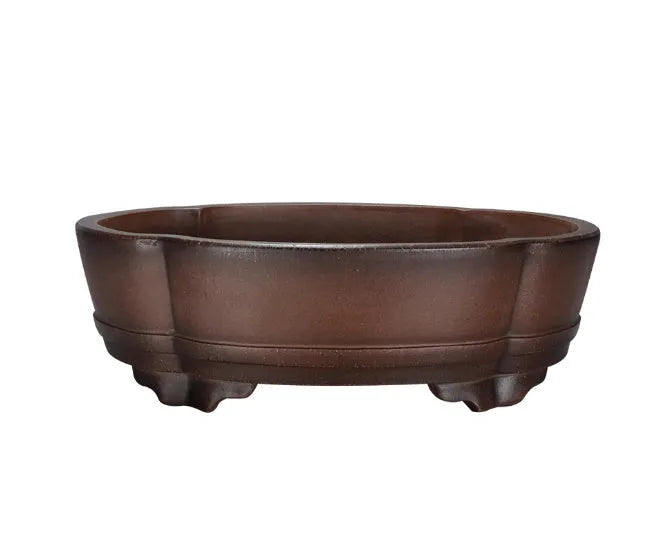 Classical purple clay bonsai pot with green plant old pile design measuring 50cm long
