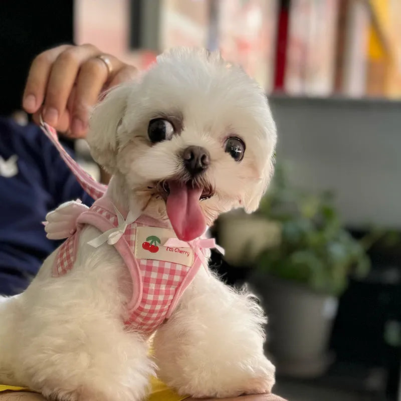 Pink cotton dog harness with chest and back connection points for small breed walking control