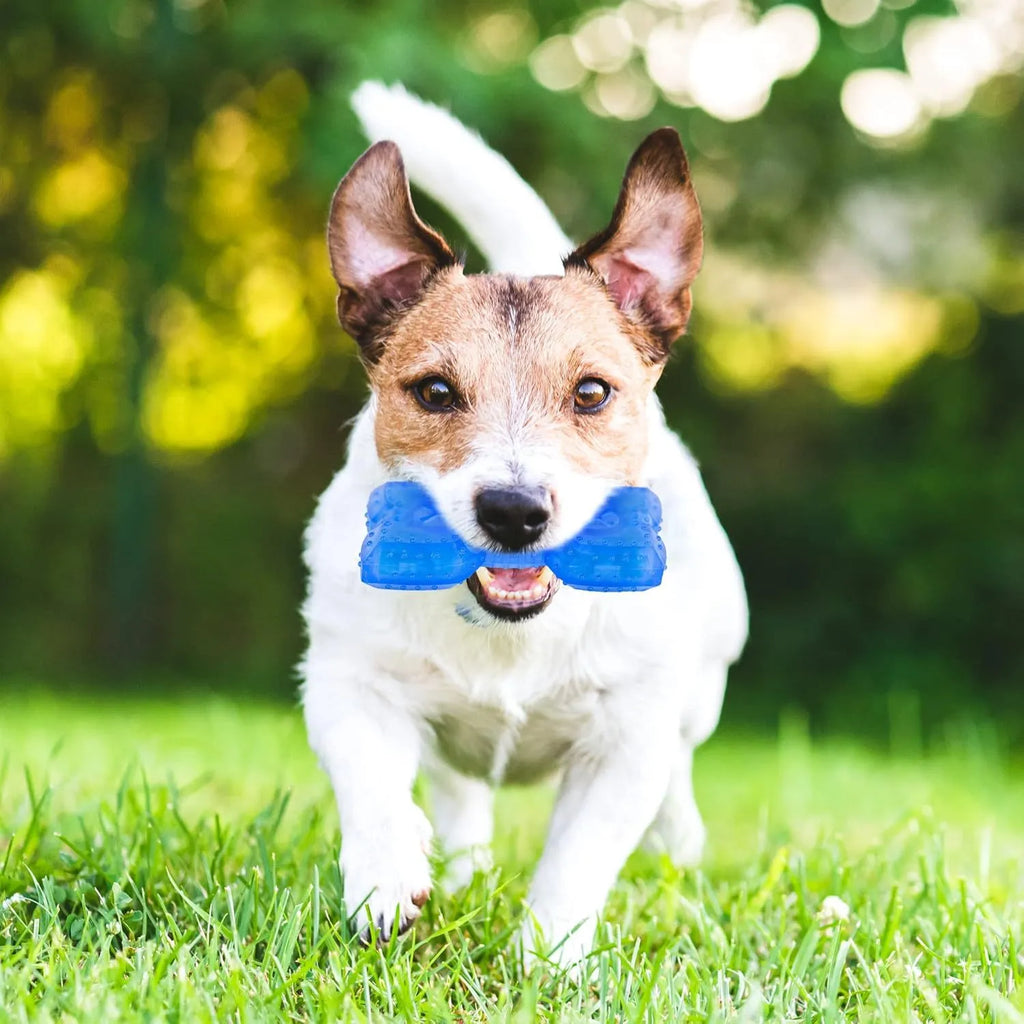 Freezable pet teether cooling chew toy for dogs in bones and circles shapes
