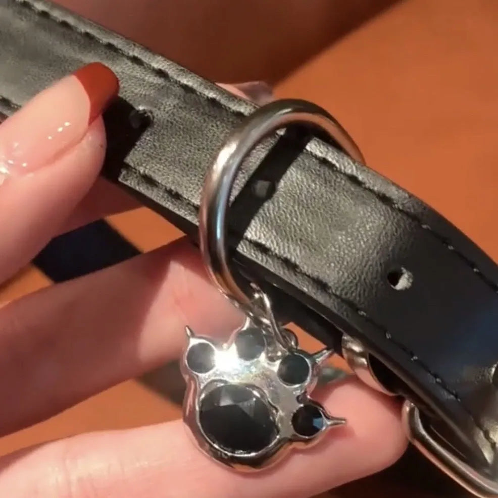 Black adjustable dog collar with choice of LD leather, cute bone, or cat paw decorative style.