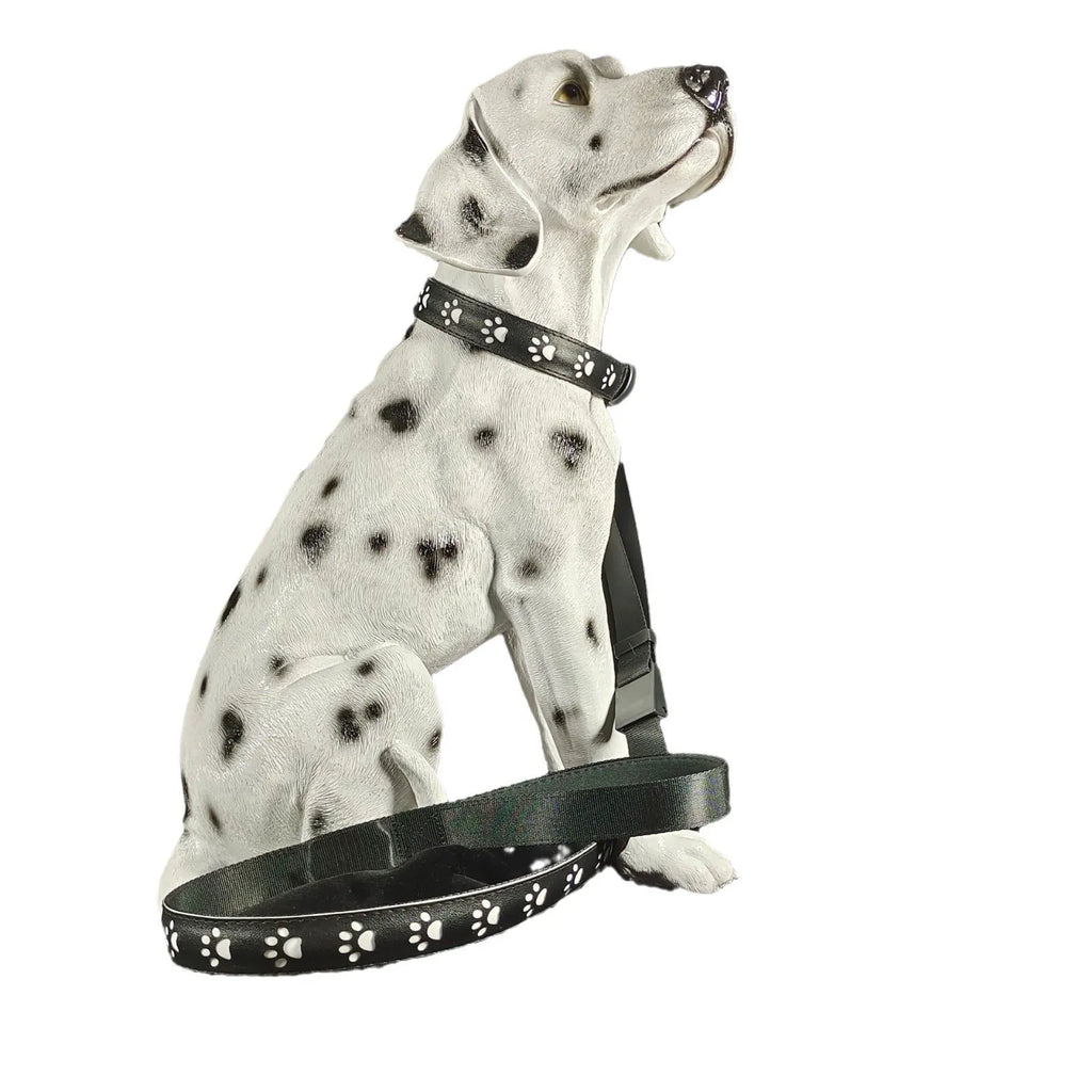 A grey cat wearing a black LED luminous collar with a glowing multi-colour paw print design.