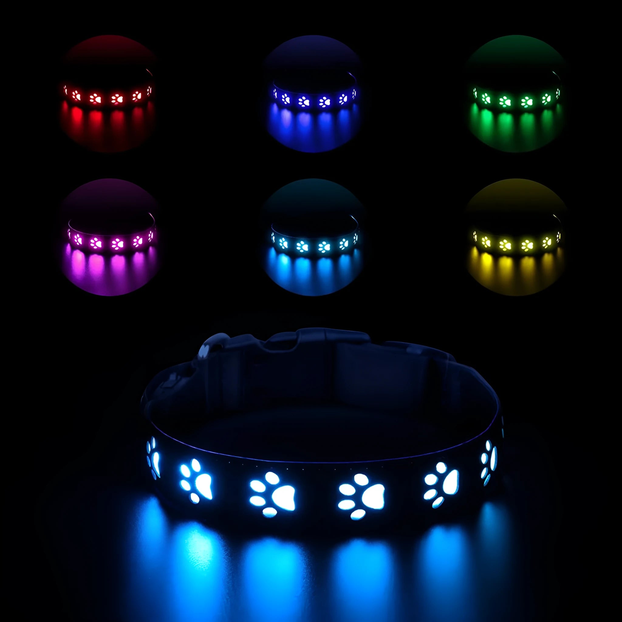 A grey cat wearing a black LED luminous collar with a glowing multi-colour paw print design.