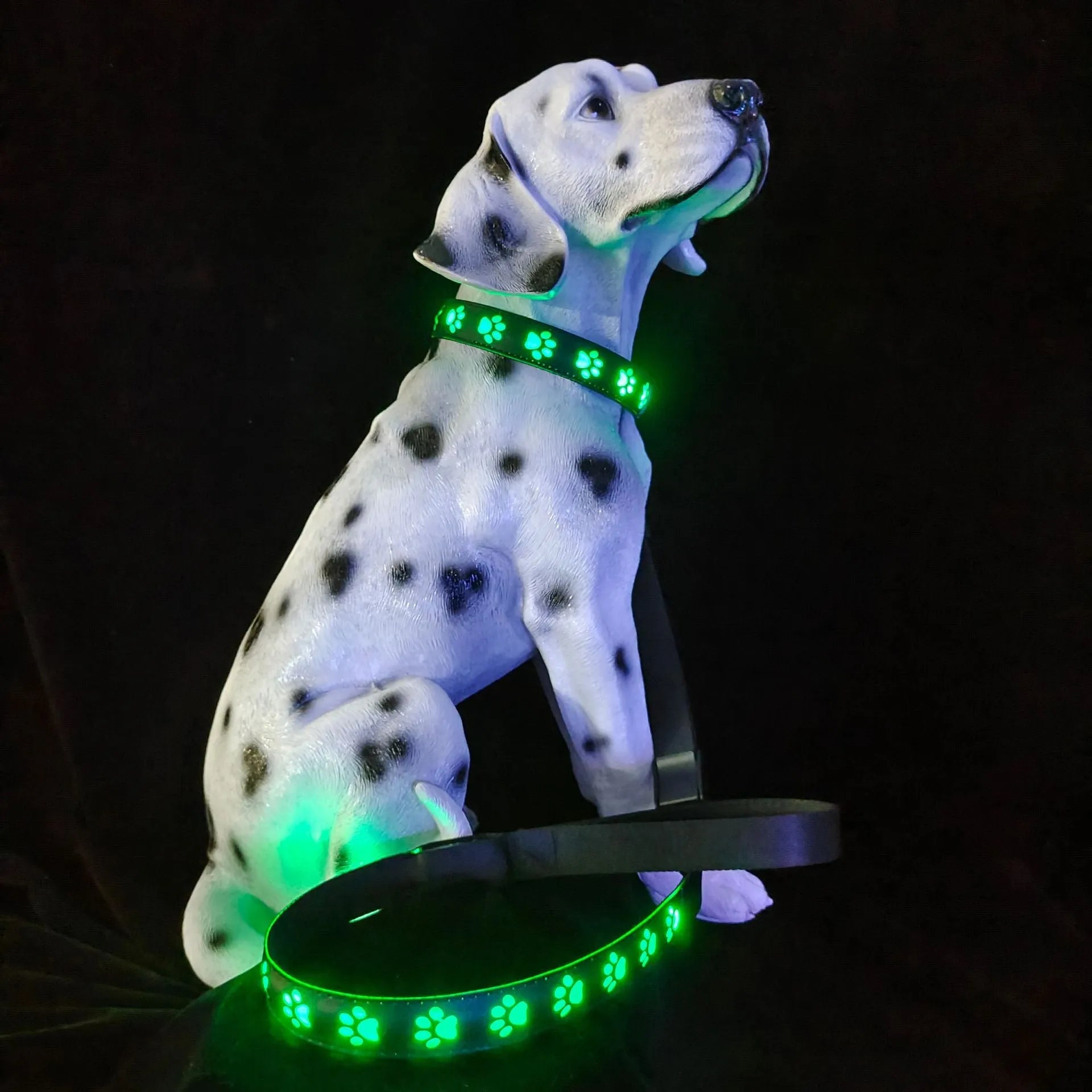A grey cat wearing a black LED luminous collar with a glowing multi-colour paw print design.