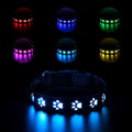 A grey cat wearing a black LED luminous collar with a glowing multi-colour paw print design.