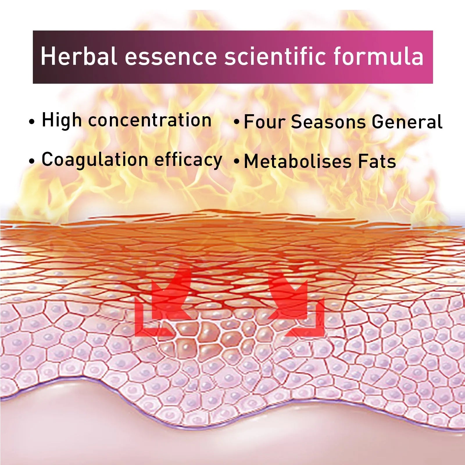 15g tube of Ginger Body Thigh Slimming Tightening Cream with olive oil and hyaluronic acid