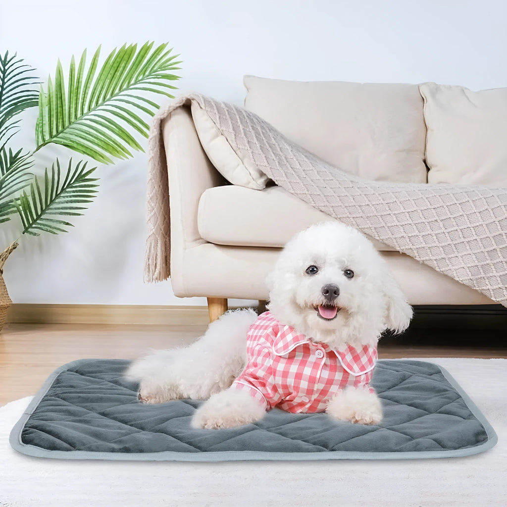 Grey cloth personalised pet cushion shown in a multi-layer design on a wooden floor.