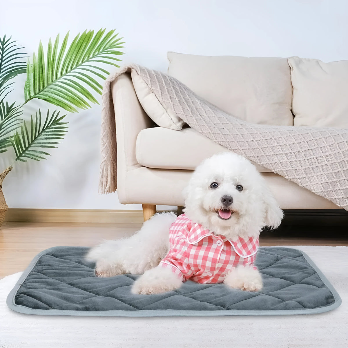 Grey cloth personalised pet cushion shown in a multi-layer design on a wooden floor.