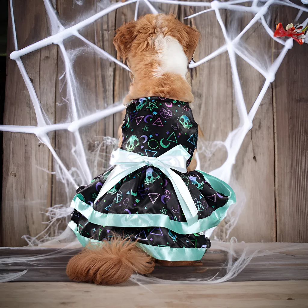 Halloween dog skirt with colourful pumpkin pattern, double-layer polyester construction