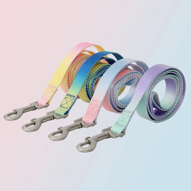 Nylon dog leash in a pink and blue gradient colour pattern.