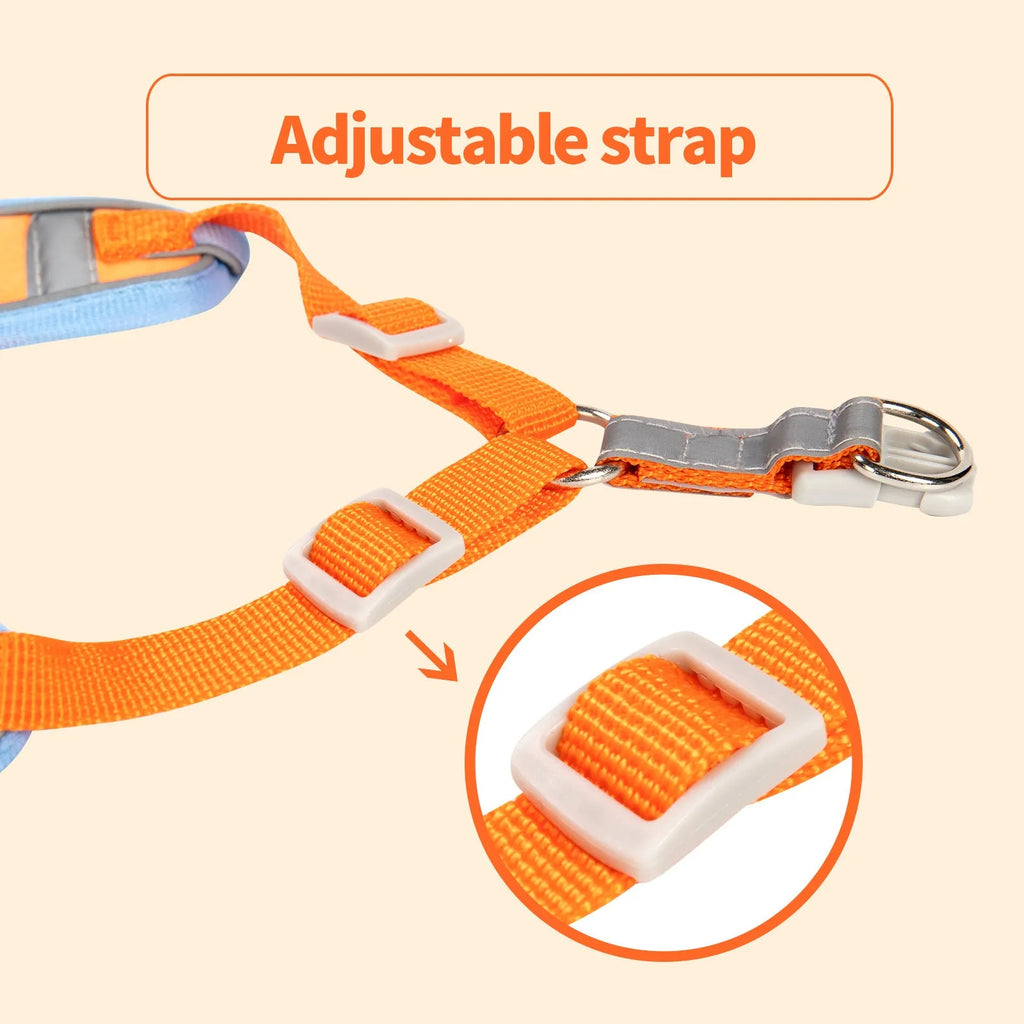 Blue adjustable dog haulage rope harness with chest strap on a medium-sized dog.