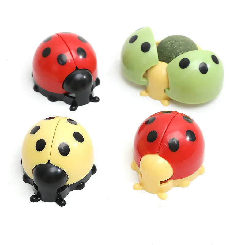 Ladybird catnip ball toy in ABS for cat licking and molar play, shown in black and red colourway