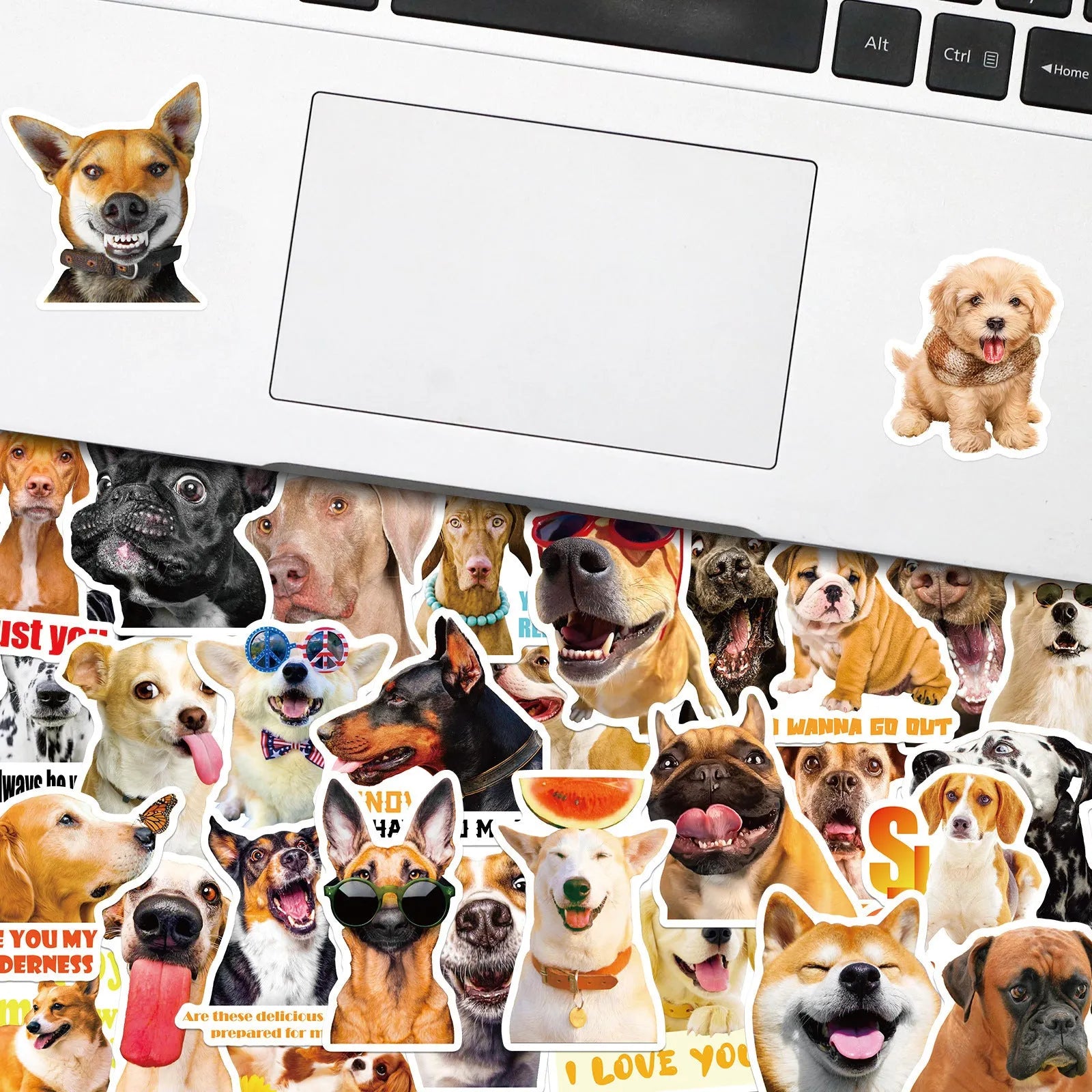 Pack of realistic dog facial expression stickers in Nordic style designs for craft projects