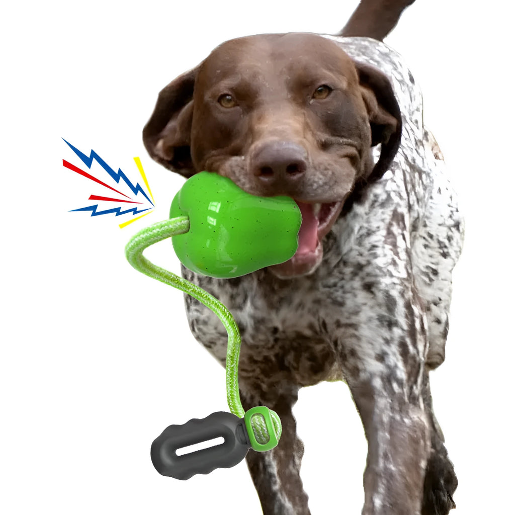 Green plastic dog toy shaped like apple with food dropping hole and molar chewing texture