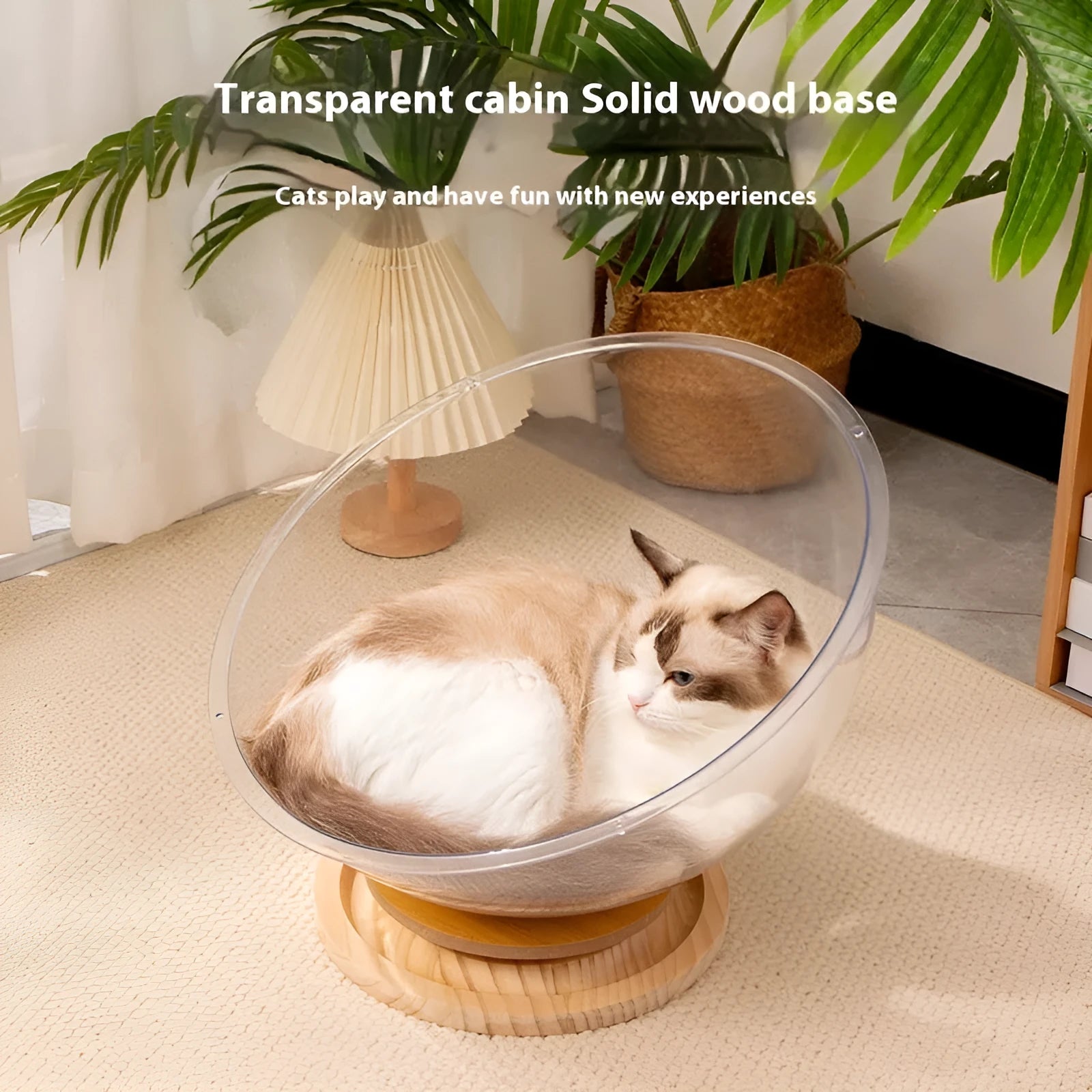 Transparent acrylic cat space capsule turntable bed in bathtub shape on rotational base
