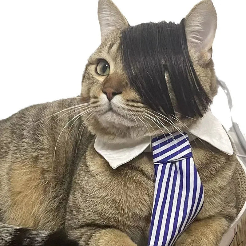 Black polyester fox tail cat wig with clip attachment for pet costume dressing