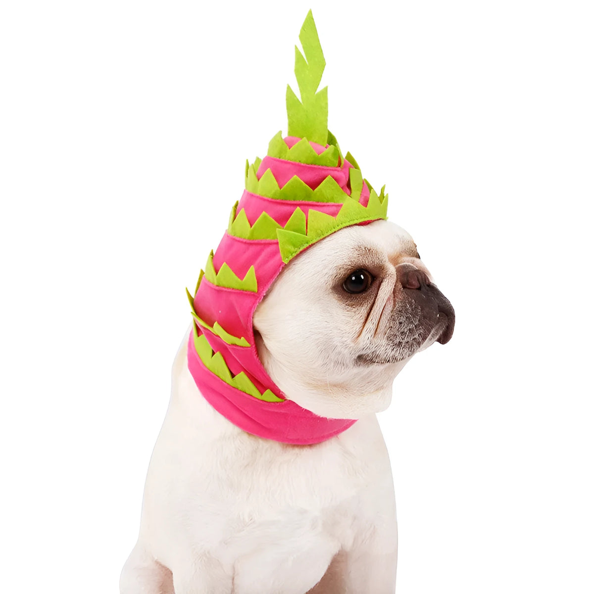 Pitaya fruit design pet hat in pink green for cats and dogs, size L, velvet felt and nylon, 28-42cm neck