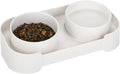 Green ceramic elevated cat bowl set with two bowls on a tilted stand.