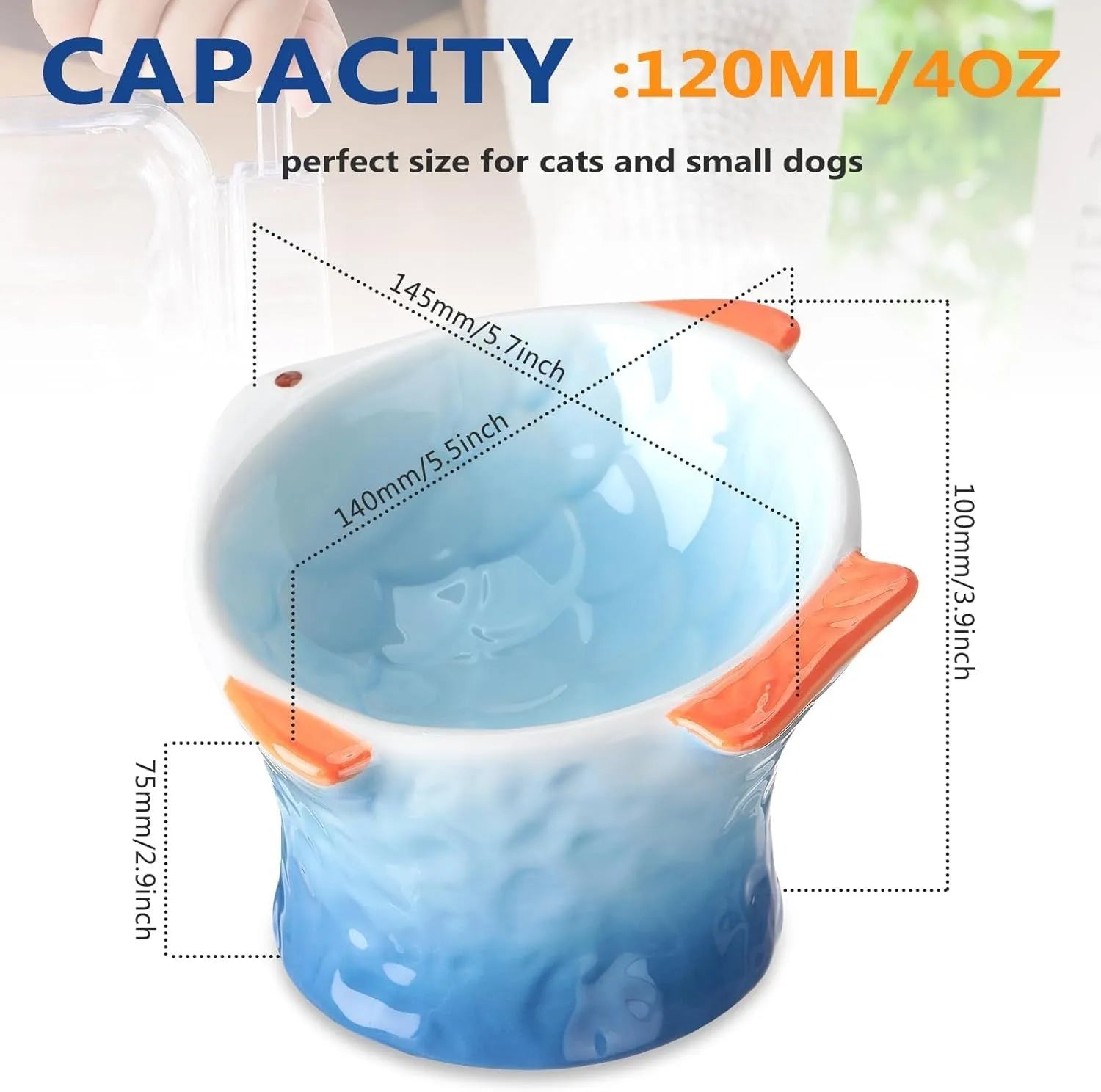Four coloured fish-shaped ceramic pet bowls with a tilted, elevated design on a plain surface.