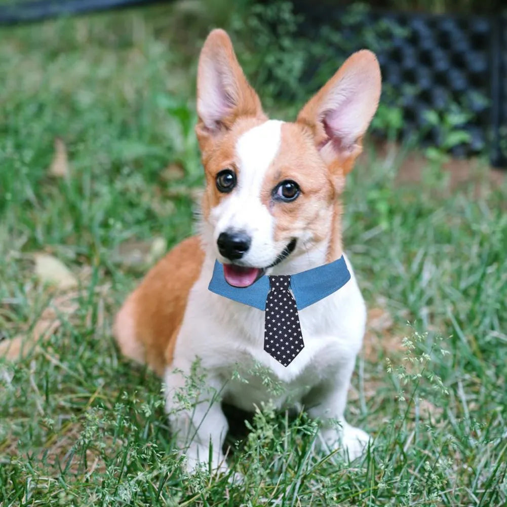 Denim dog collar with star pattern and attached bow accessory on adjustable fastener tape