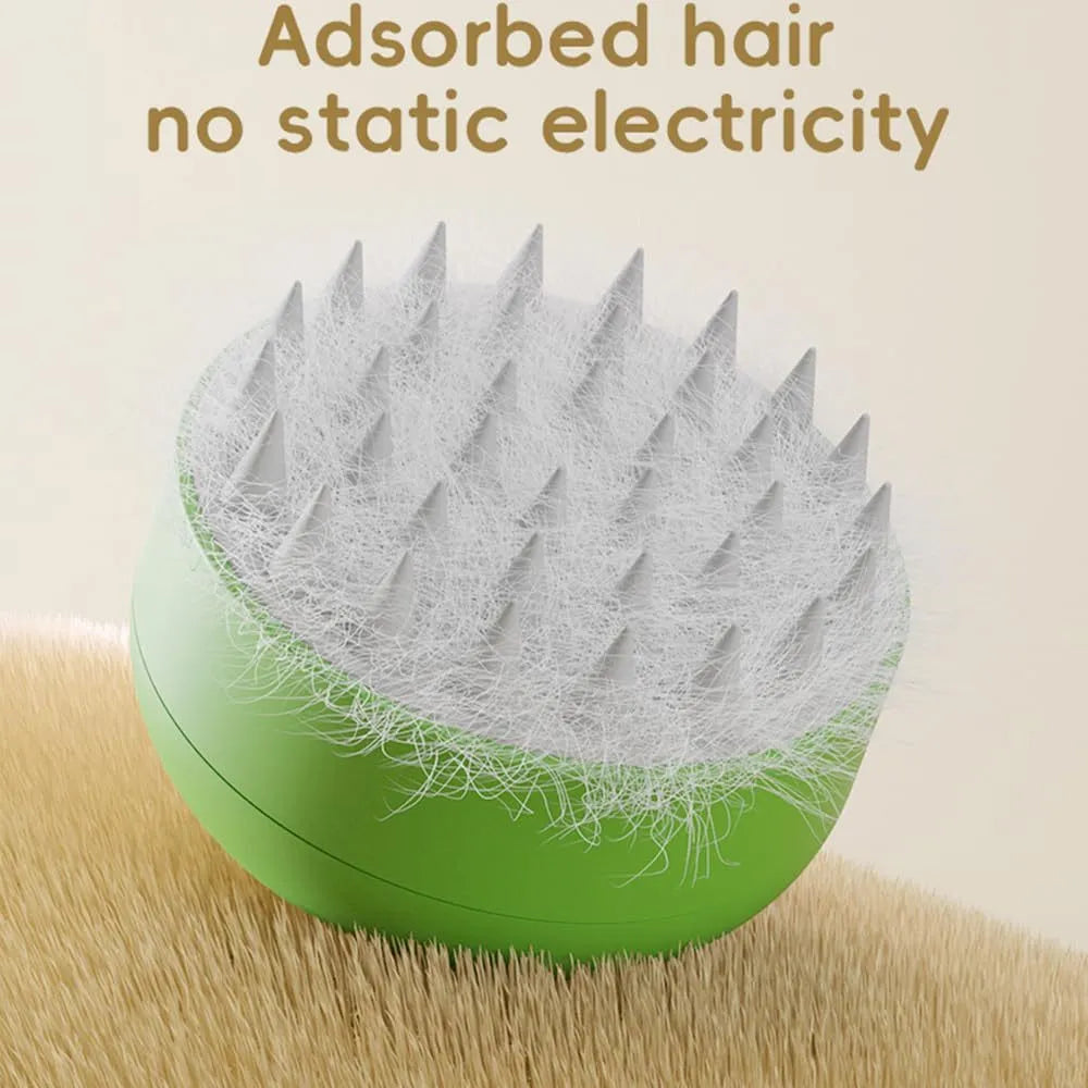Green rechargeable cat steam brush with silicone bristles for pet grooming