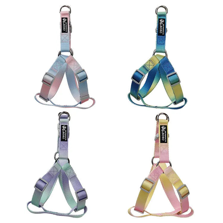 Nylon dog leash in a pink and blue gradient colour pattern.
