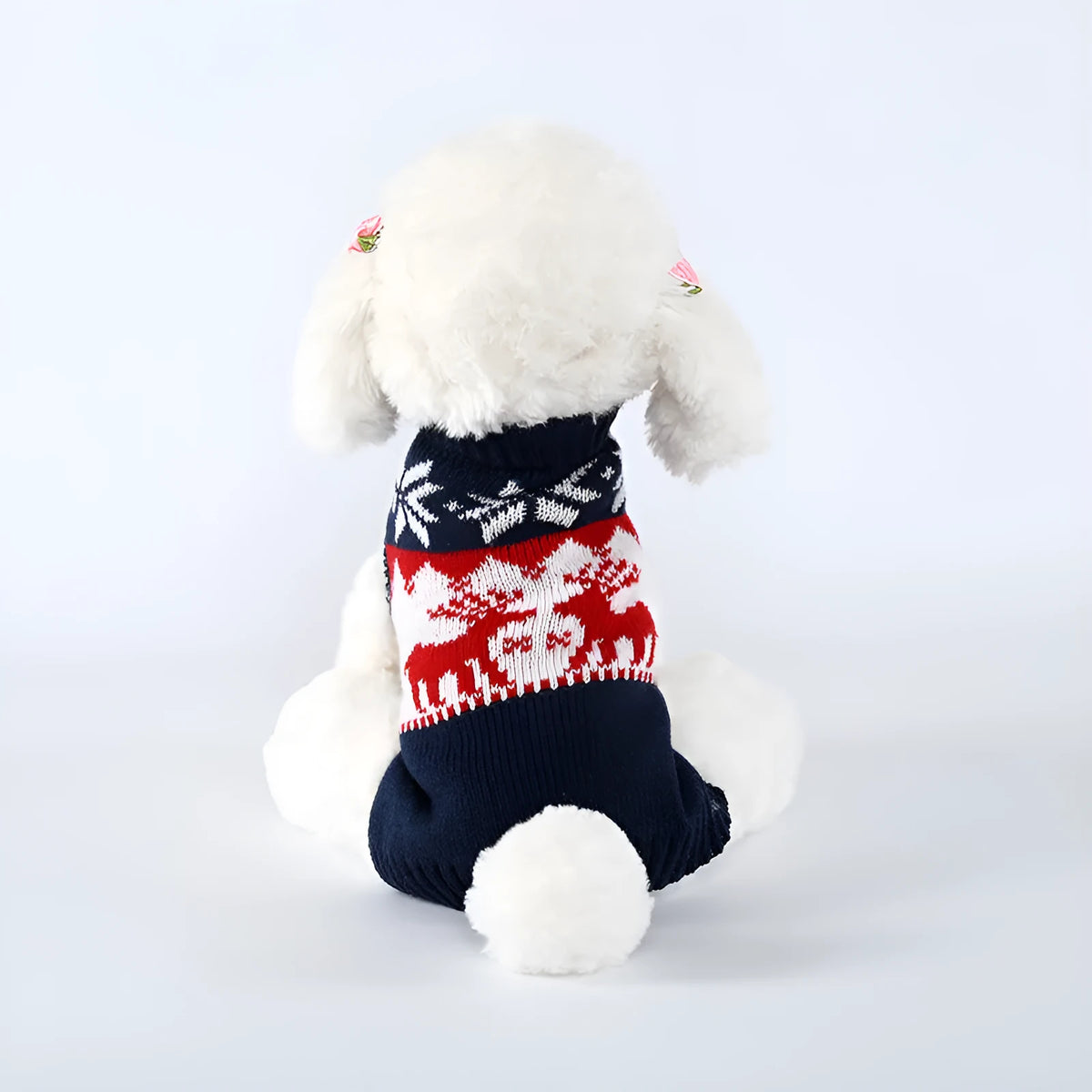 Navy blue knitted Christmas dog jumper on small to medium breed