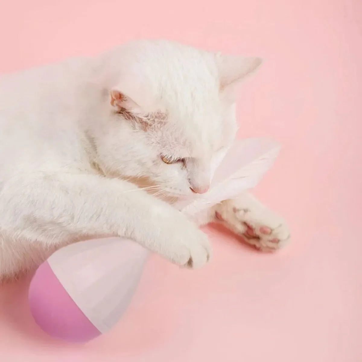 Feather tumbler cat toy with bite-resistant ball and goose feather teaser in green or pink