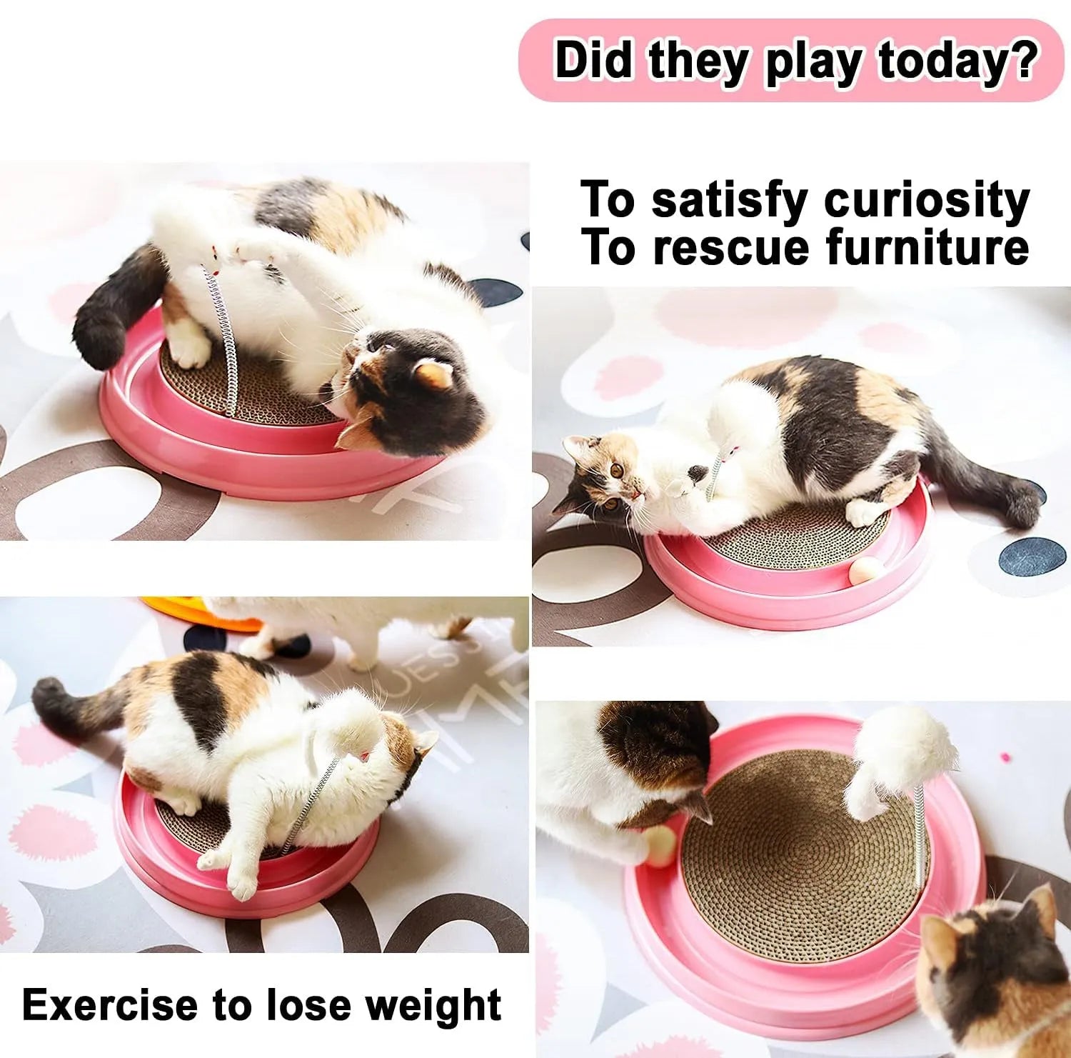 Blue cat scratching post with interactive ball track and replaceable cardboard centre pad