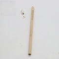 Seed pencil with plantable capsule in various colours containing herb, flower or vegetable seeds