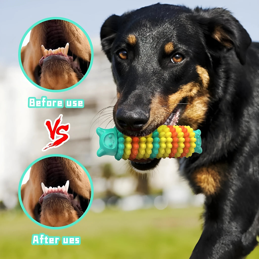 Blue green pink caterpillar shaped natural rubber dog chew toy 17cm long