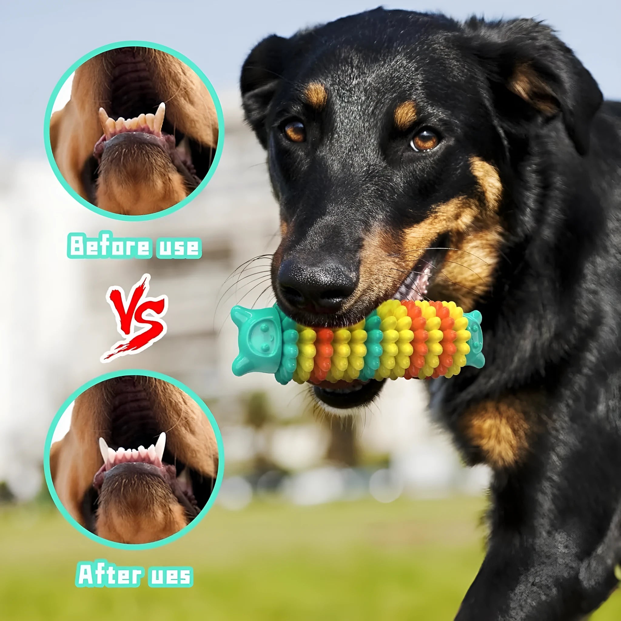 Blue green pink caterpillar shaped natural rubber dog chew toy 17cm long