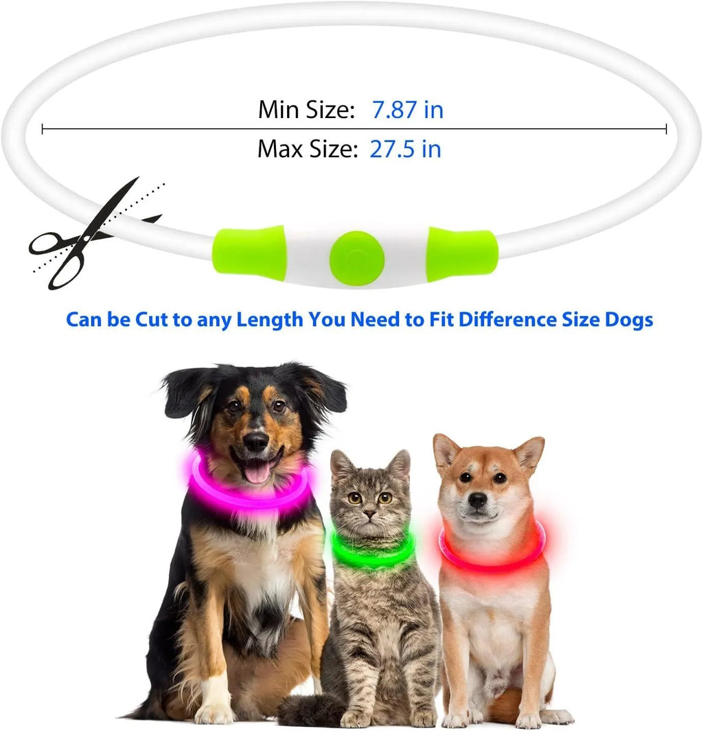 Blue USB-rechargeable LED dog collar glowing on a dog's neck, showing the 70cm adjustable TPU strap.