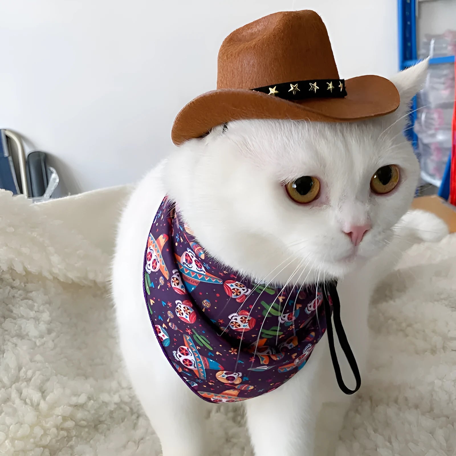 XINGX brown and black British-style cowboy hat for cats on a mannequin head.