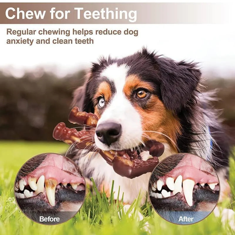 Scarlet red nylon dog molar nibbling toy with beef flavour scent for dental cleaning