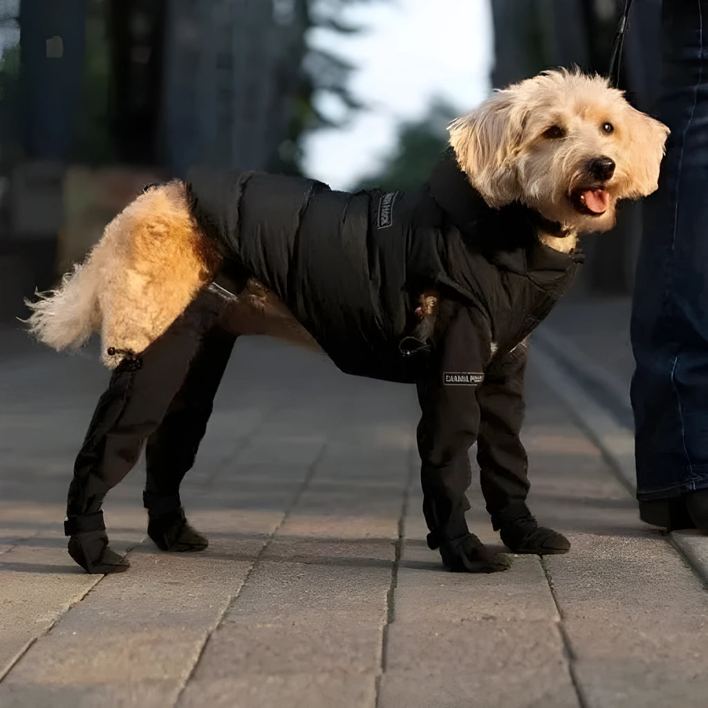 Black polyester waterproof dog shoes with non-slip soles for paw protection