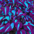 Coloured leaves jade barrettes flower seeds in OPP packaging, 50 tablets.