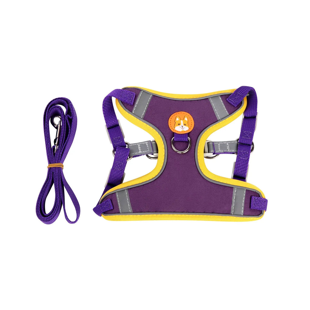 Blue adjustable dog haulage rope harness with chest strap on a medium-sized dog.